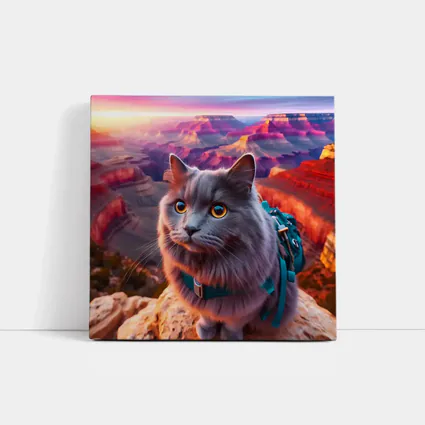 Gray Cat Grand Canyon Sunset Adventure