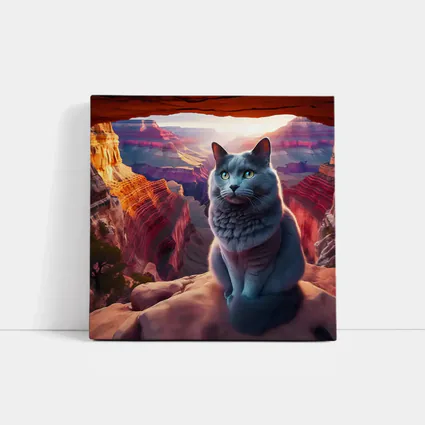 Russian Blue Cat Grand Canyon Sunset