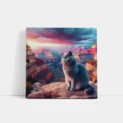 Russian Blue Cat Grand Canyon Sunset