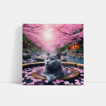 Russian Blue Cat Cherry Blossom Hot Spring