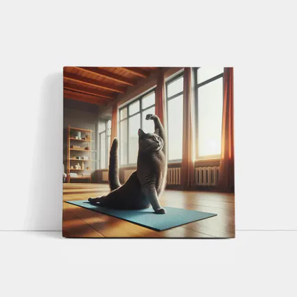 Gray Cat Doing Yoga Sunny Studio