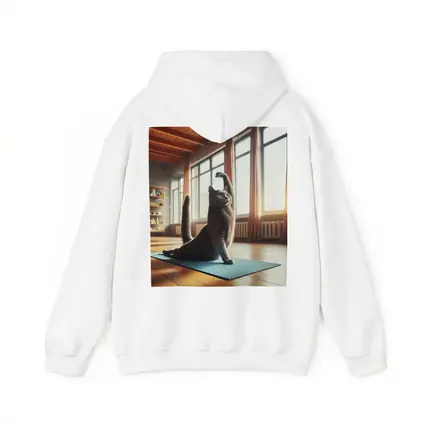 Gray Cat Doing Yoga Sunny Studio
