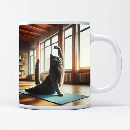 Gray Cat Doing Yoga Sunny Studio