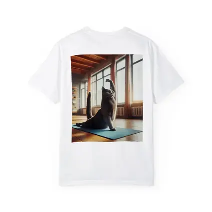 Gray Cat Doing Yoga Sunny Studio
