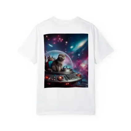 Scottish Fold Cat Piloting Space UFO