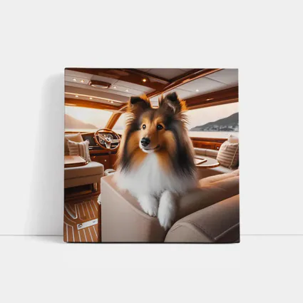 Shetland Sheepdog Relaxing Inside Luxury Yacht