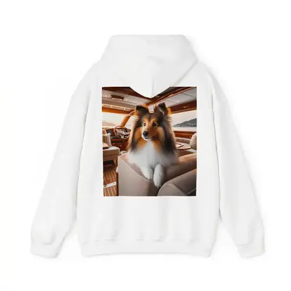 Shetland Sheepdog Relaxing Inside Luxury Yacht