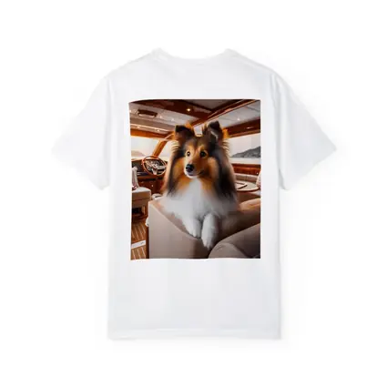 Shetland Sheepdog Relaxing Inside Luxury Yacht