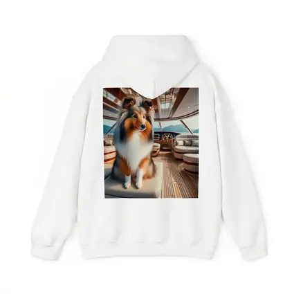 Shetland Sheepdog Sitting Inside Luxury Yacht