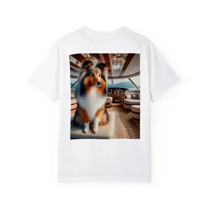 Shetland Sheepdog Sitting Inside Luxury Yacht