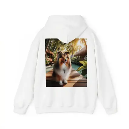 Shetland Sheepdog Sitting Tropical Resort Boardwalk