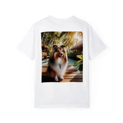 Shetland Sheepdog Sitting Tropical Resort Boardwalk