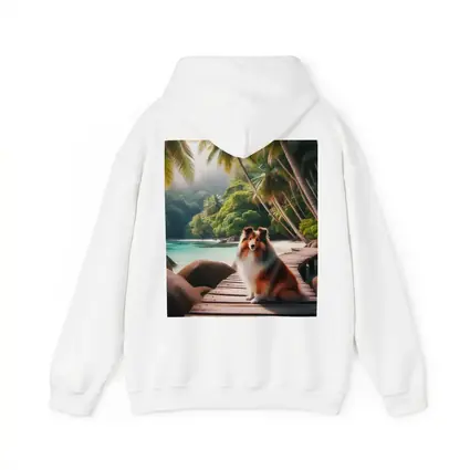 Rough Collie Sitting on Tropical Beach Dock