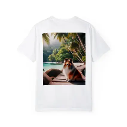 Rough Collie Sitting on Tropical Beach Dock