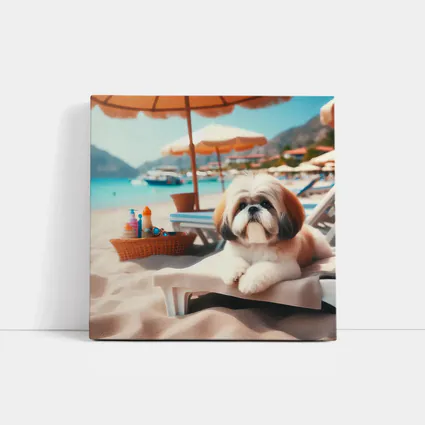 Shih Tzu Dog Relaxing On Beach Chair