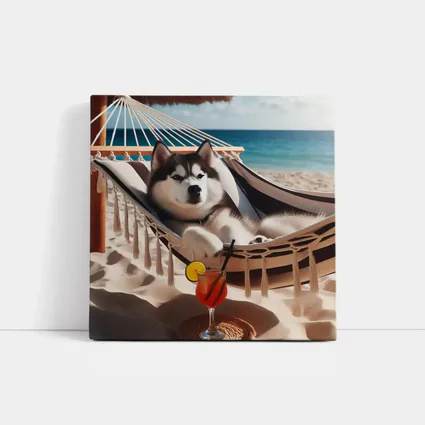 Siberian Husky Relaxing on Beach Hammock