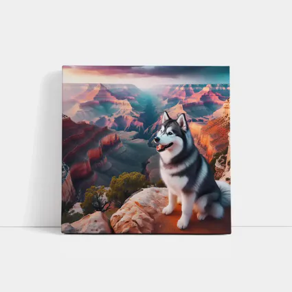 Siberian Husky Sitting Grand Canyon Overlook