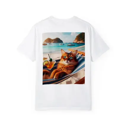 Somali Cat Relaxing on Beach Hammock