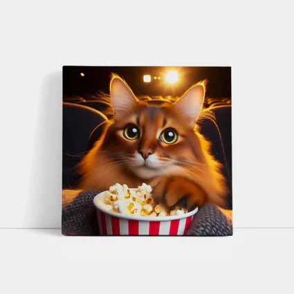 Somali Cat Eating Popcorn Movie Theater