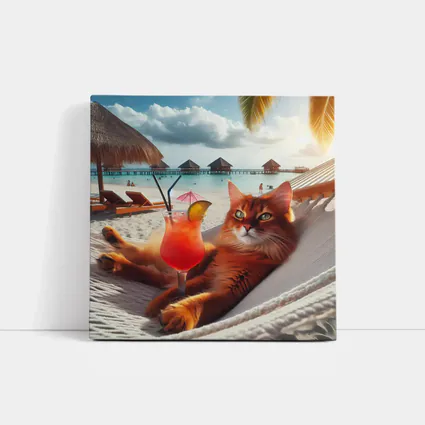 Somali Cat Relaxing on Beach Hammock