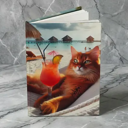 Somali Cat Relaxing on Beach Hammock
