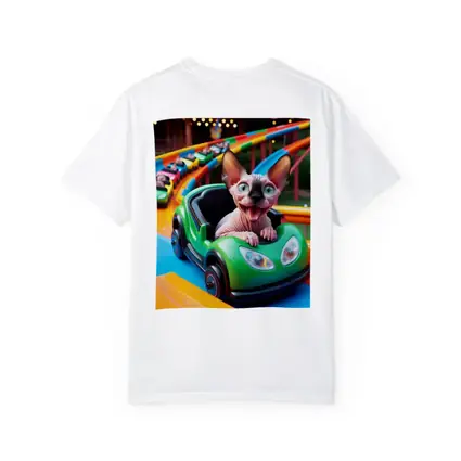 Sphynx Cat Riding Roller Coaster Amusement Park