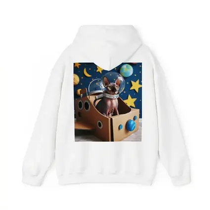 Sphynx Cat Astronaut Cardboard Rocket Space