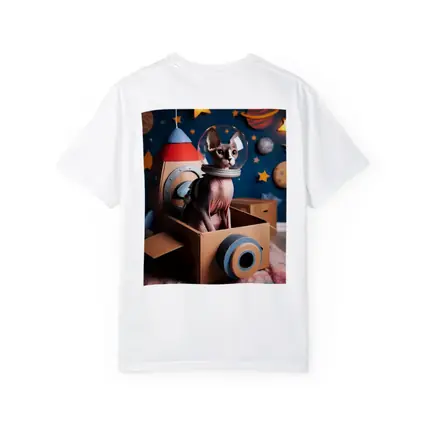 Sphynx Cat Astronaut Cardboard Rocket Space