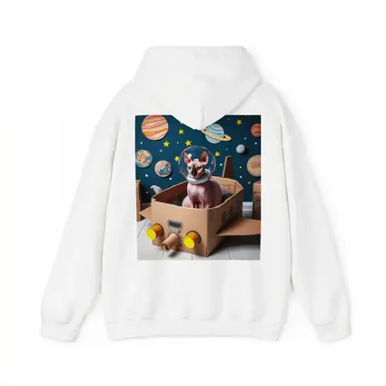 Sphynx Cat Astronaut Cardboard Rocket Space