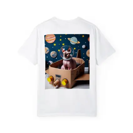Sphynx Cat Astronaut Cardboard Rocket Space