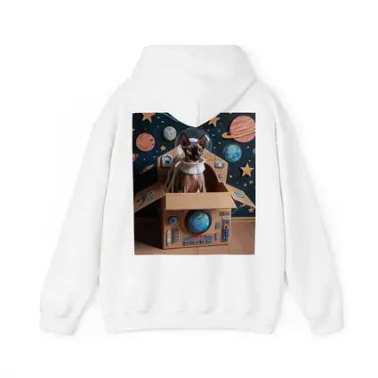 Sphynx Cat Astronaut Cardboard Spaceship Space