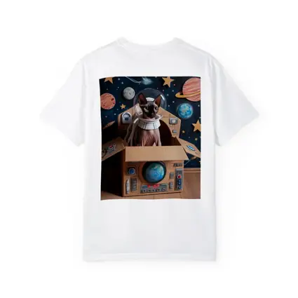 Sphynx Cat Astronaut Cardboard Spaceship Space