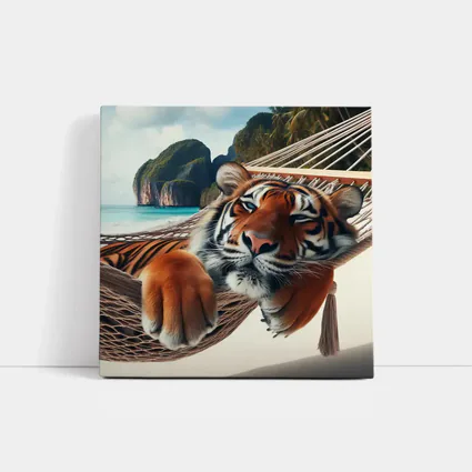 Relaxed Tiger Lounging In Hammock Beach