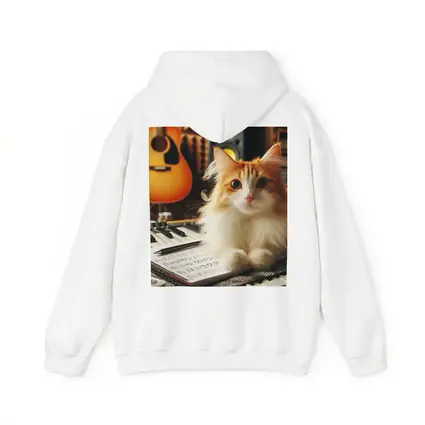 Orange Cat Relaxing in Music Studio
