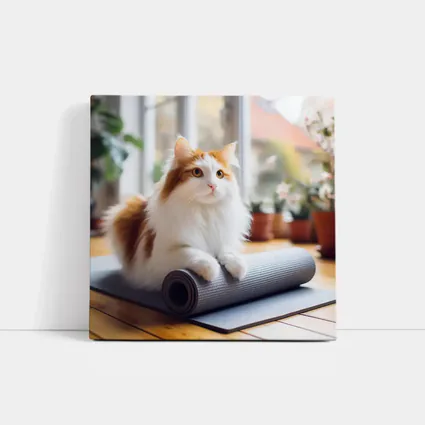 Fluffy Cat Resting on Yoga Mat