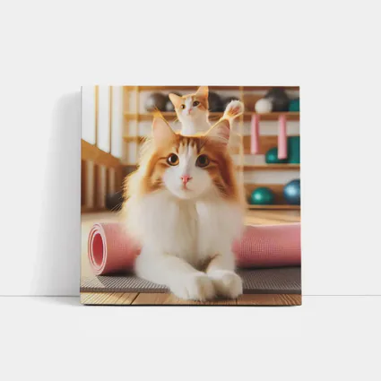 Fluffy Orange Cat Yoga Studio Workout