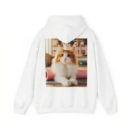 Fluffy Orange Cat Yoga Studio Workout