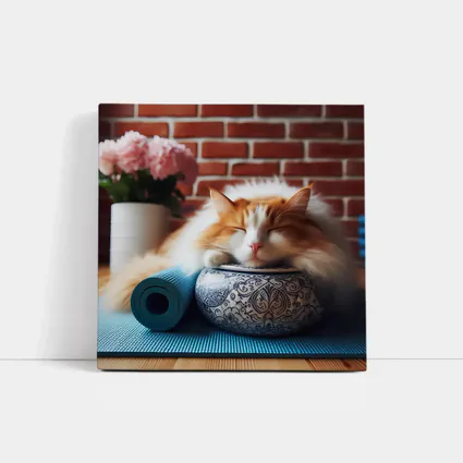 Sleeping Orange Cat Yoga Mat Brick Wall