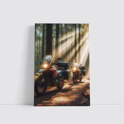 Adventure Dual Sport Bikes Sunlit Forest