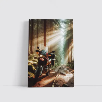 Adventure Dual Sport Bike Forest Sunrays