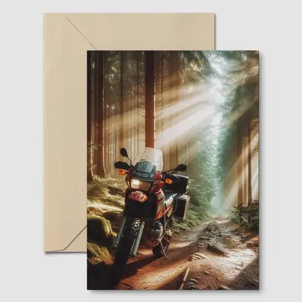 Adventure Dual Sport Bike Forest Sunrays