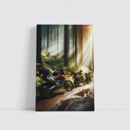 Adventure Dirt Bikes Parked in Misty Forest