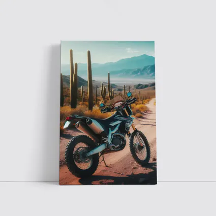 Dual Sport Bike Desert Cactus Trail