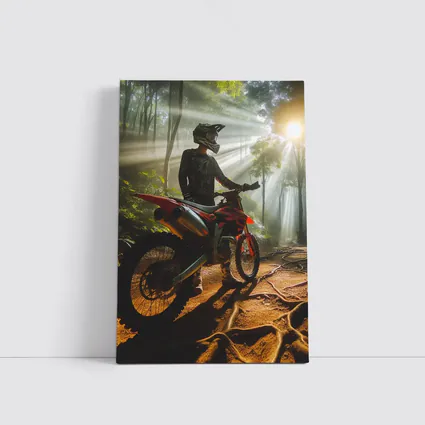 Motocross Rider Forest Sunbeams Dirt Trail