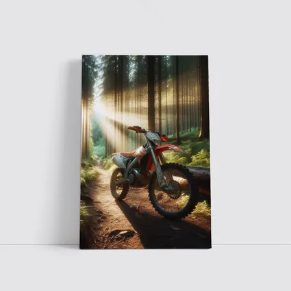 Dirt Bike Parked on Forest Trail