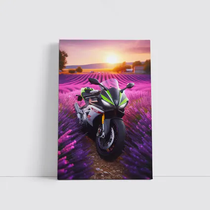 Sport Bike Superbike Lavender Fields Sunset