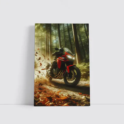 Red Sport Bike Rider Autumn Forest
