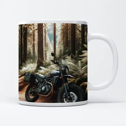 Adventure Dual Sport Bike Forest Trail