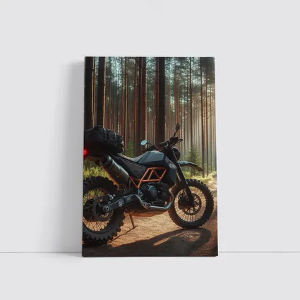 Adventure Dual Sport Bike Forest Trail