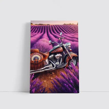 Indian Motorcycle Parked In Lavender Fields